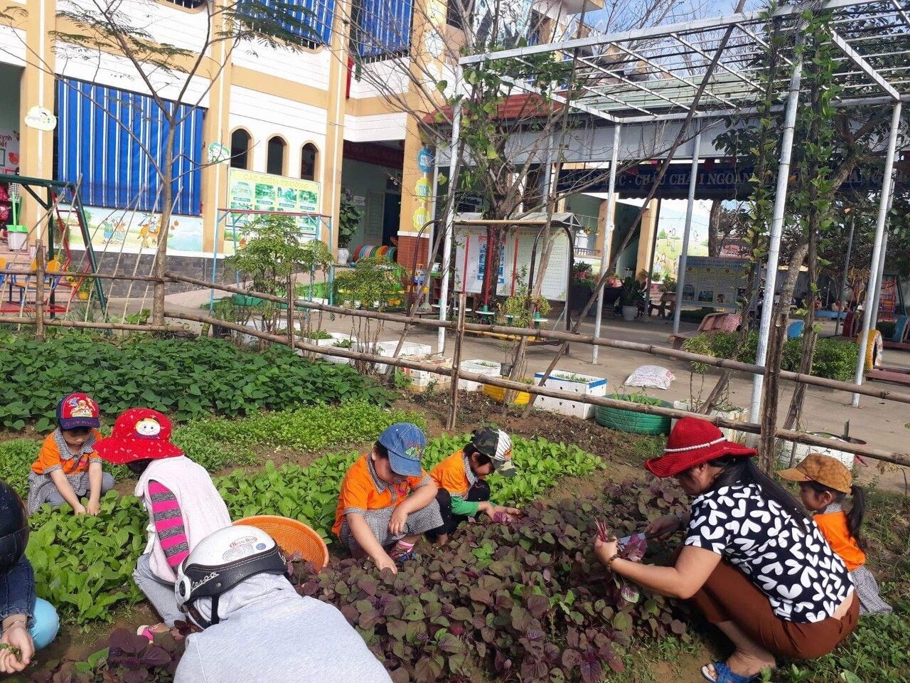 z1786848164498_e6b1fd266ab5920827ff327c840ecfc5_5cd22c5825